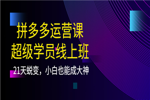 拼多多运营课：超级学员线上班，21天蜕变，小白也能成大神