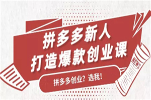 拼多多新人打造爆款创业课：快速引流持续出单，适用于所有新人